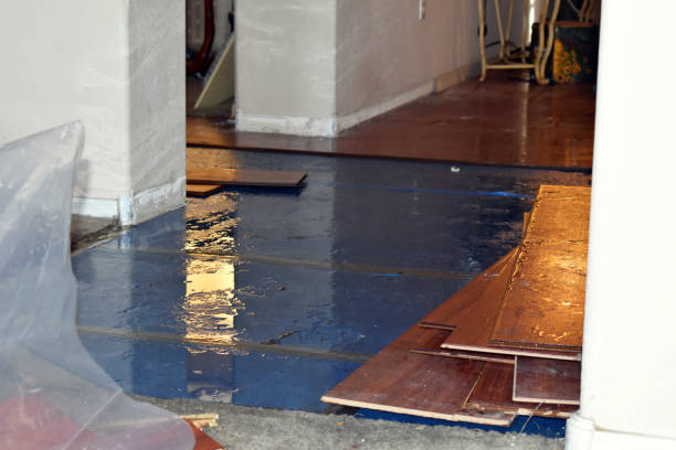 Professional Water Extraction technician working in Middle Point, OH